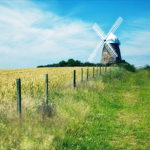 工厂里面少妇不戴套可以吗
